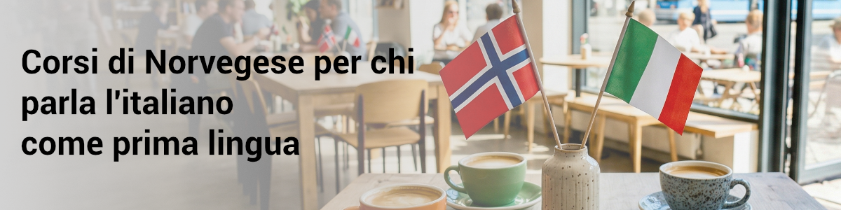 Corsi di Norvegese